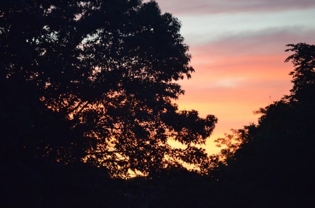 Green Dirt-57 (1024x678)